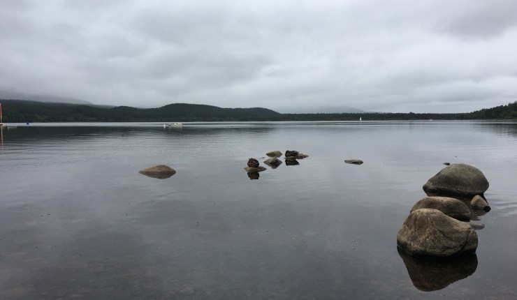 Januar, neues Jahrzehnt: Einmal leermachen&nbsp;bitte!