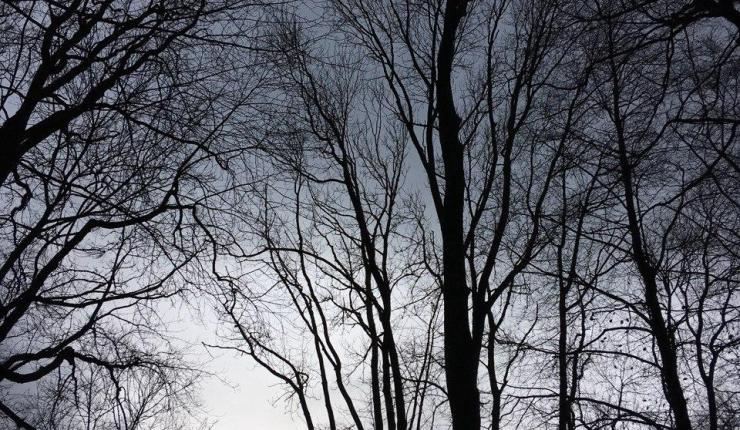 Corona II: Was passiert im Inneren der&nbsp;Gesellschaft?